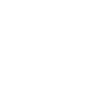 logo world impact summit