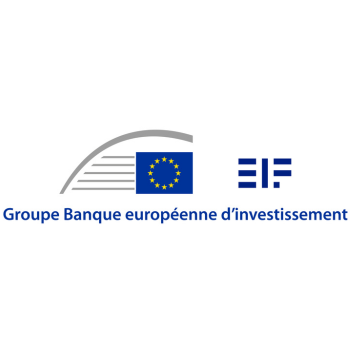 La Banque Européenne d'Investissement partenaire institutionnel du WIS 2024