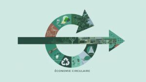 Collage numérique représentant la transformation d'une économie linéaire en économie circulaire, avec une flèche droite se transformant en cercle, composé d'images de recyclage, réparation et réutilisation en teintes vertes. il est écrit de façon lisible" Economie circulaire" en lettres majuscules.